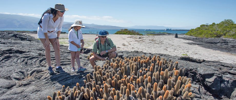 Expeditionen auf den Galapagosinseln mit der Isabela II