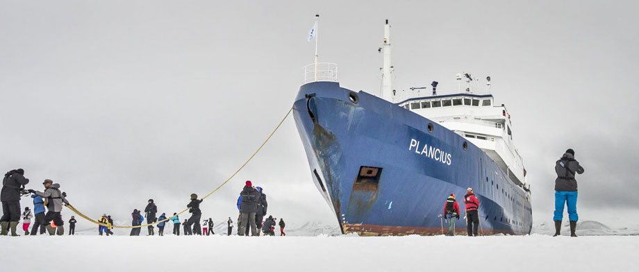 Expeditionen in die Antarktis an Bord der Plancius