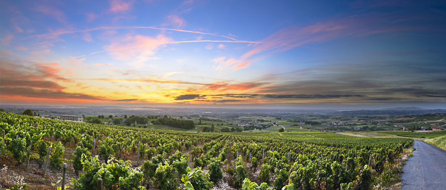 Rhone Landschaft auf Flusskreuzfahrt